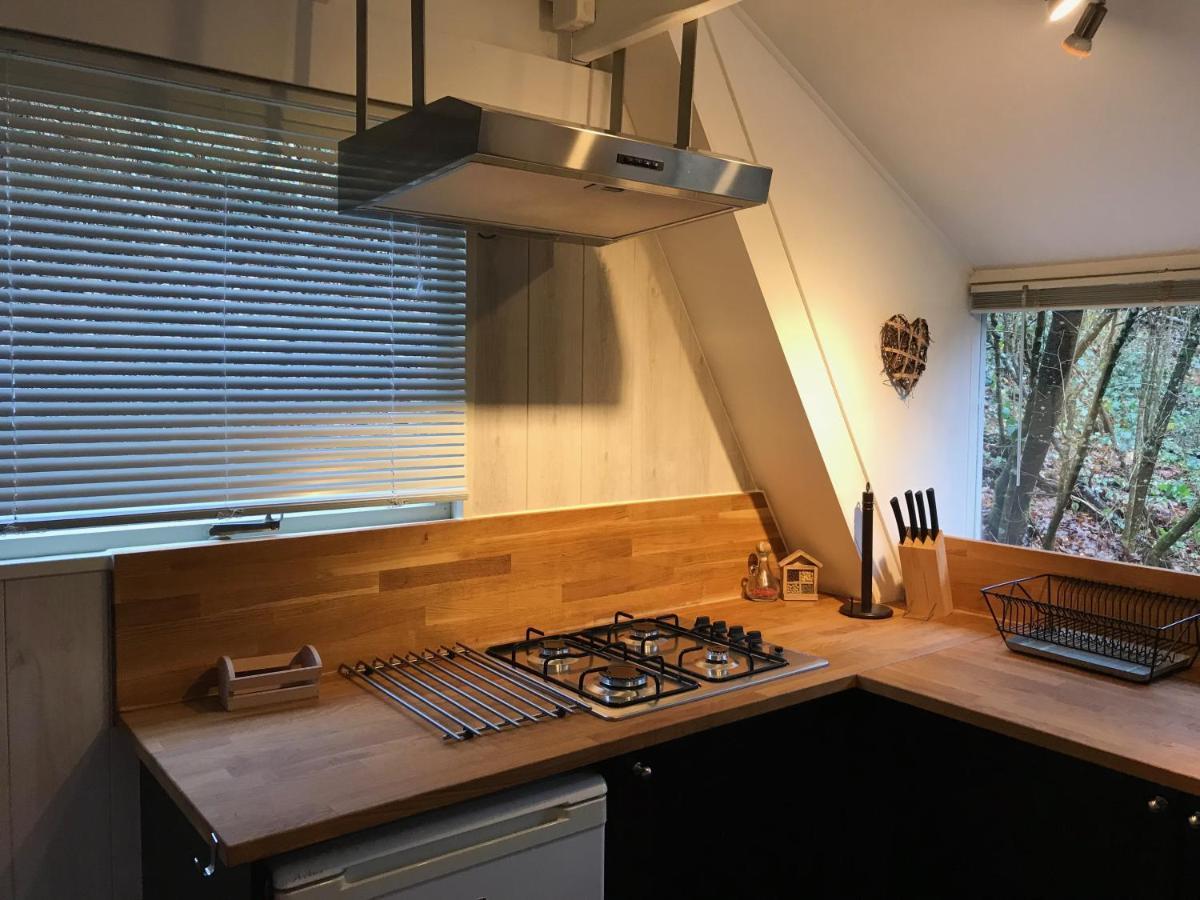 Heavenly Renovated Cabin Near Pittoresque Durbuy - Whistler Villa Bagian luar foto