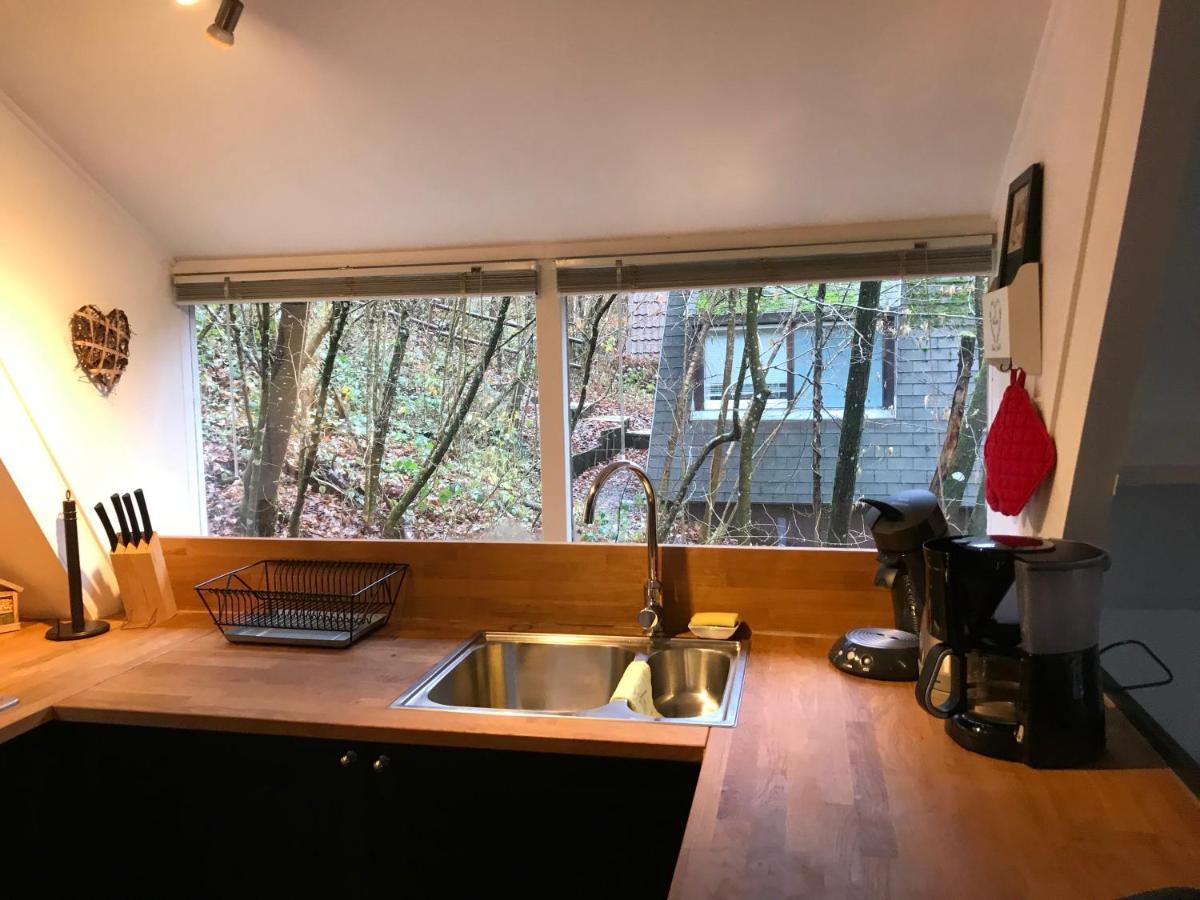 Heavenly Renovated Cabin Near Pittoresque Durbuy - Whistler Villa Bagian luar foto