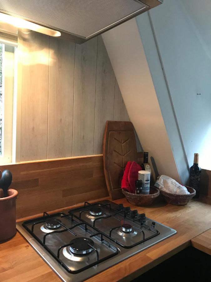 Heavenly Renovated Cabin Near Pittoresque Durbuy - Whistler Villa Bagian luar foto
