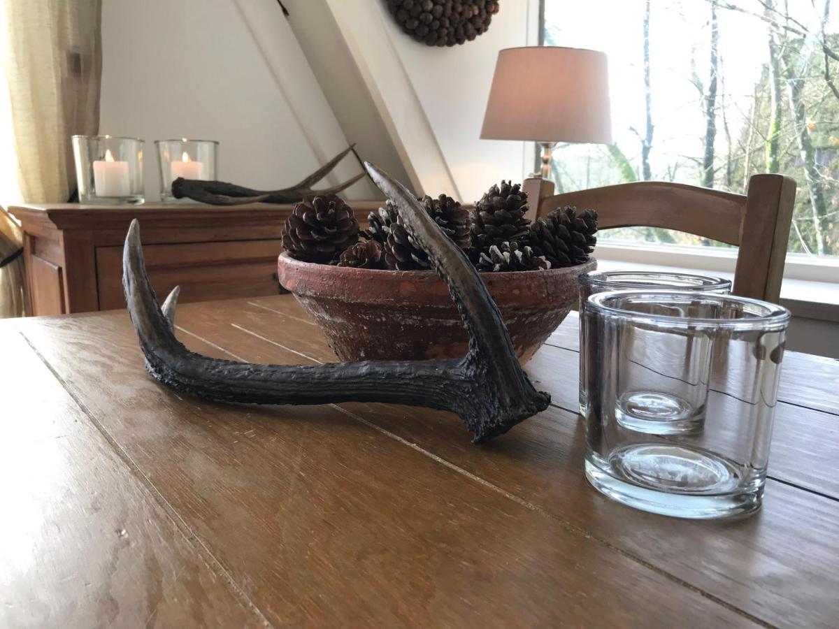 Heavenly Renovated Cabin Near Pittoresque Durbuy - Whistler Villa Bagian luar foto